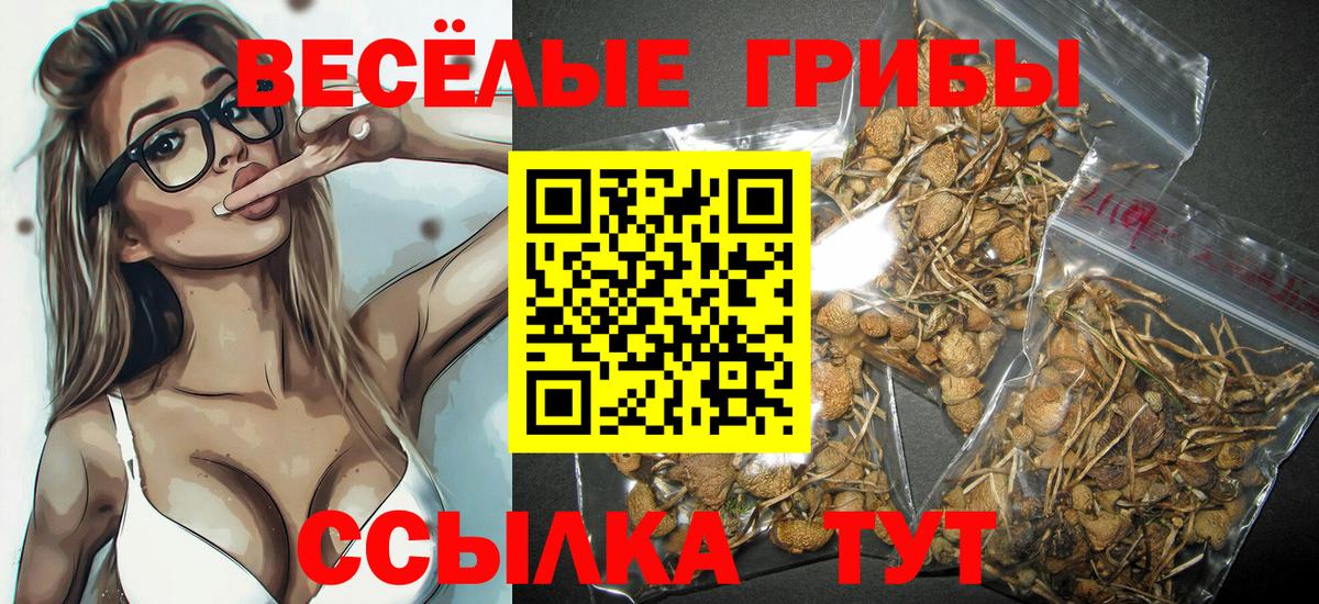 Псилоцибиновые грибы мицелий  Вход с VPN  Усть-Джегута 